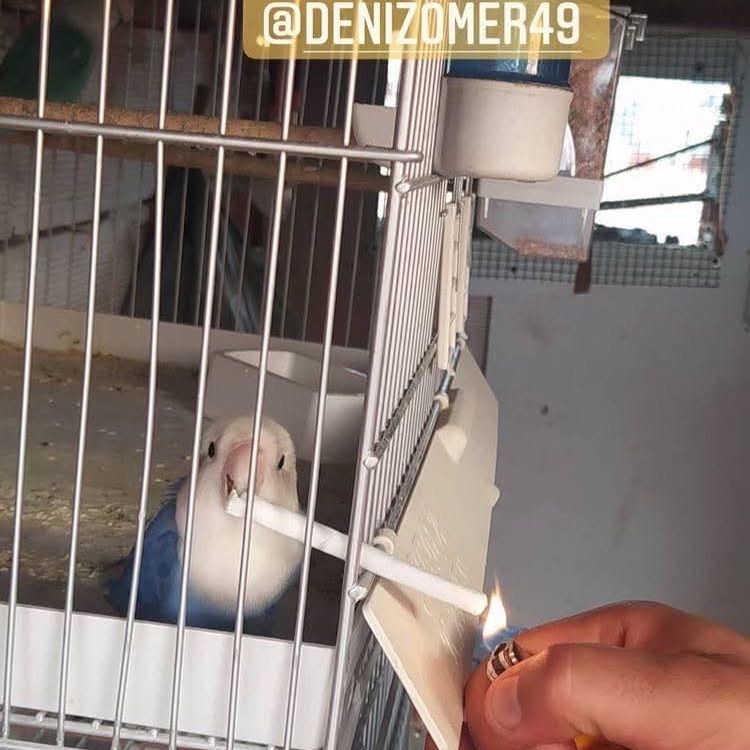 ömer