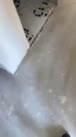 İş videosu